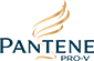 Pantene Logo Daa1b67ca0 Seeklogo.com